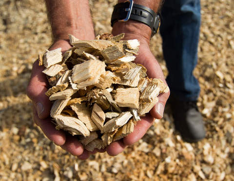 Biomass handful-73a5defc589d9922cb876f74033950340aa0b77e