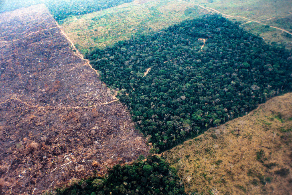Aerial view of Amazon rainforest deforestation, Acre, Brazil. Credit: BrazilPhotos / Alamy Stock Photo. PDAM8T