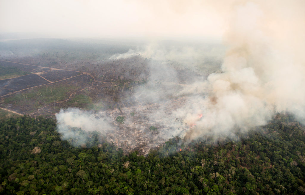 Wildfire spreads across parts of the Amazon rainforest, near the Porto Velho region, 24 August 2019. Credit: ZUMA Press, Inc. / Alamy Stock Photo. WB6F4M