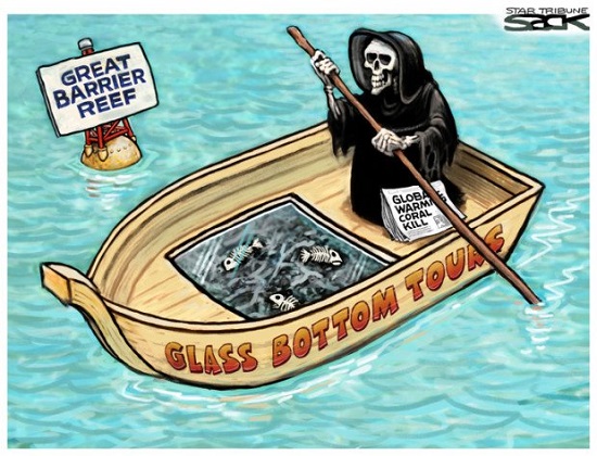 2020 Toon 8