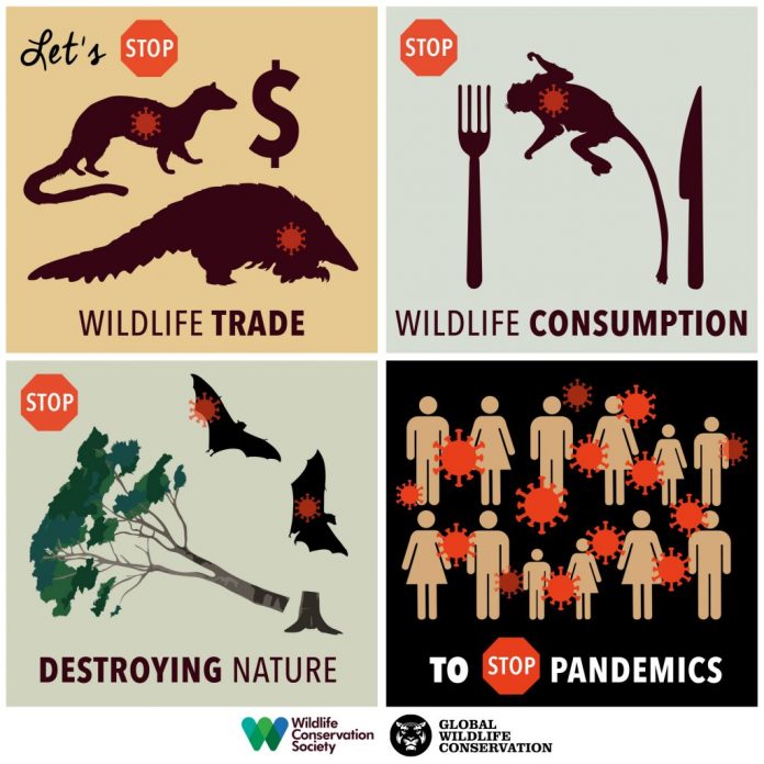 WCS-GWC-withlogo-ENG-1024-f2f6a664ca980f4fb4555892e705f3cfc9b12451