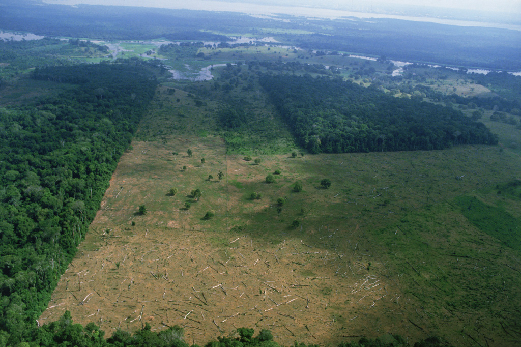 Aerial view of deforestation of rain forests in Brazil near Amazon River. 