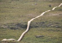 Guest post: Why avoiding climate change ‘maladaptation’ is vital