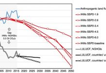 Guest post: A ‘Rosetta Stone’ for bringing land-mitigation pathways into line