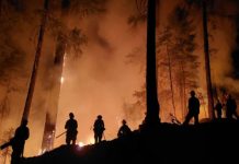 Silent calamity: The health impacts of wildfire smoke