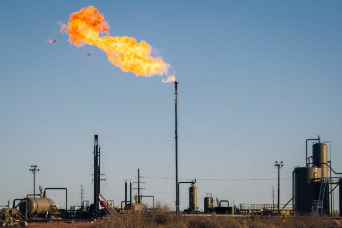 022420_permian_306-2-1024-eed63e00015494b8dc2da5c8582066920f9aa64b