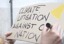 Legal Action Against Shell Board Previews Wave of Lawsuits Against Company Directors
