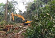‘Existential Threat’: Indigenous Leaders Urge Citigroup to Stop Backing Amazon Oil