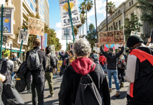 California Assemblyman Kills Fossil Fuel Divestment Bill