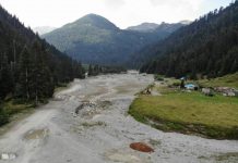 Environmental Activists Fight Back as Companies Resort to ‘Lawfare’ to Quash Criticism